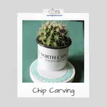 This chip carving tutorial for maritime coasters is perfect to make a gift or add to your home.
