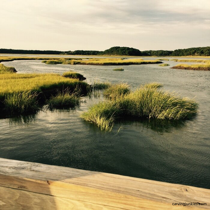Lieutenant Island on Cape Cod