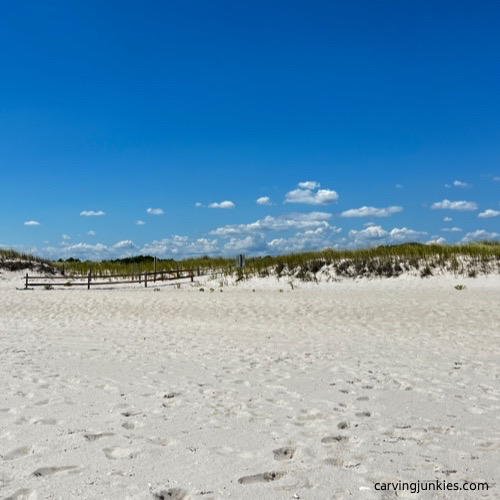 Island beach state park