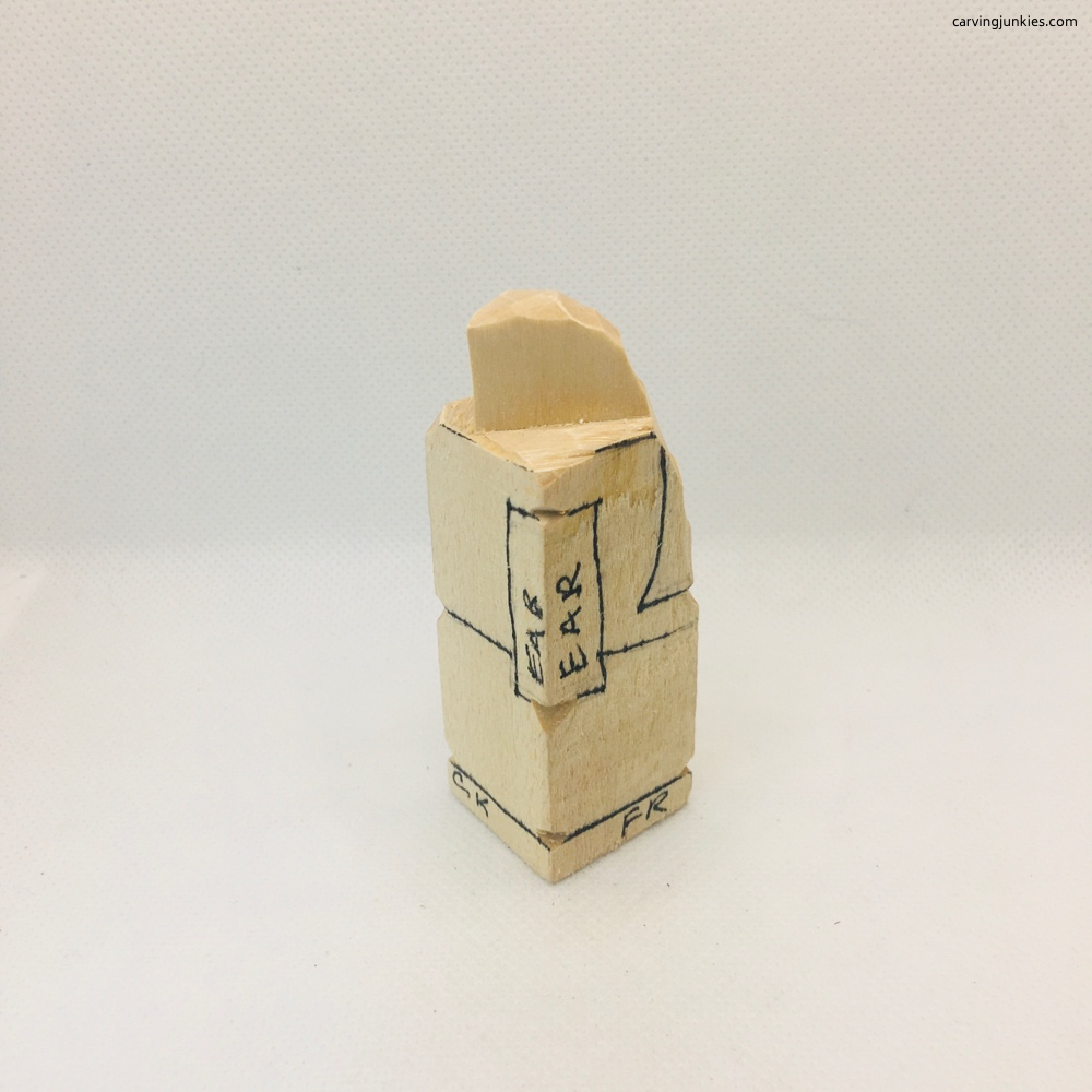 Rigt view of wood carved elephant trunk