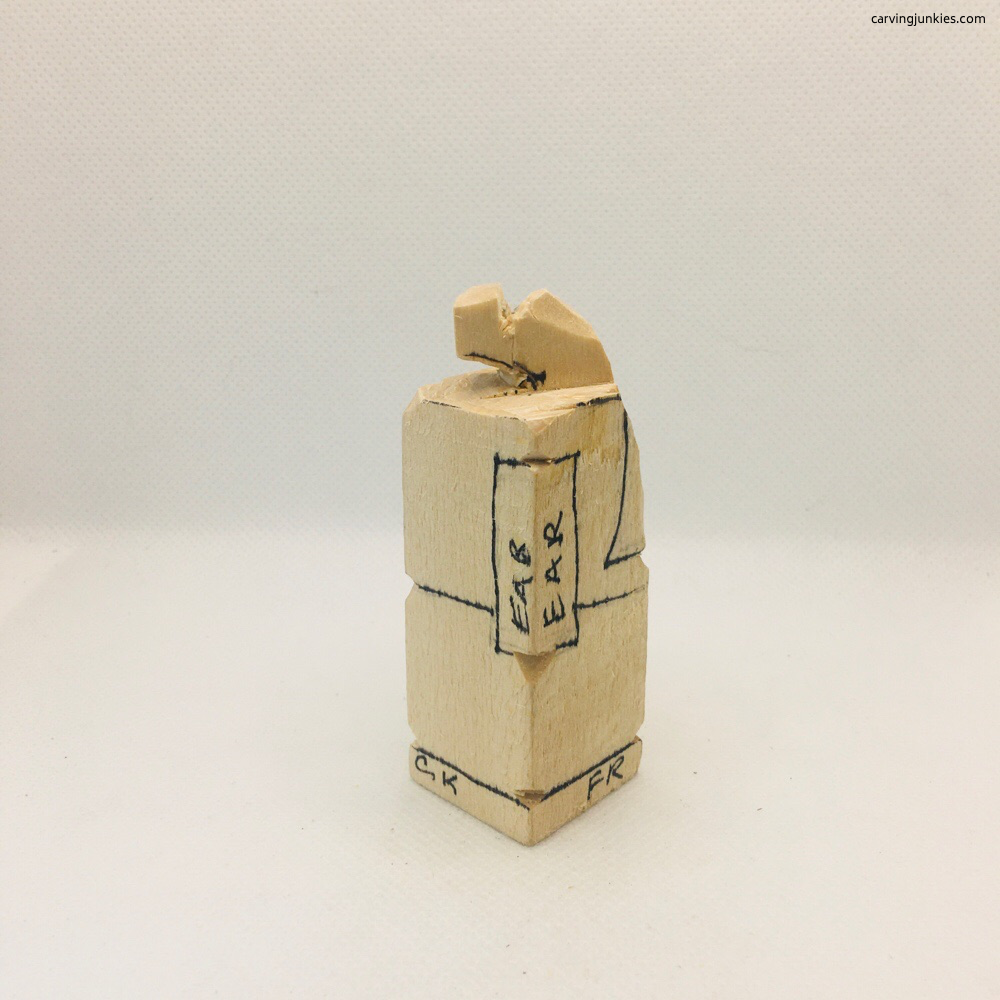 Wood removed from elephant trunk