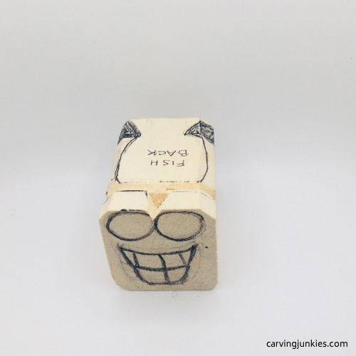 Caricature drawing for fish face