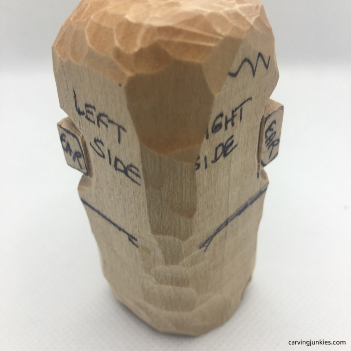 Back side of hedgehog