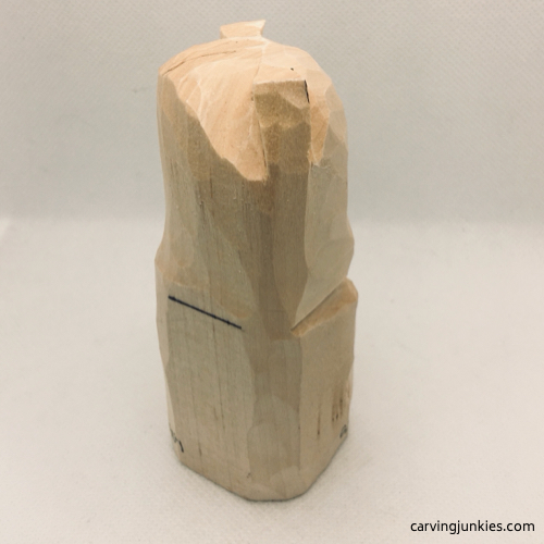 Side view of lions ears