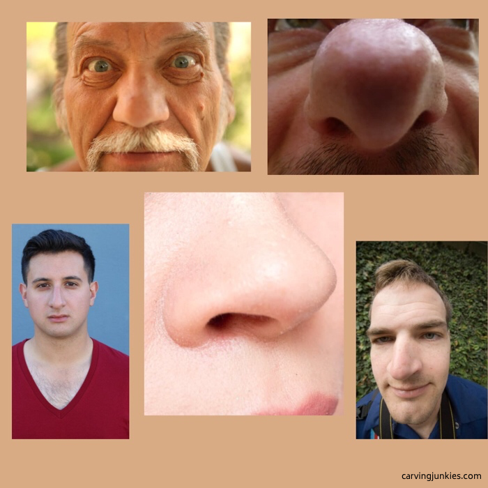 Human noses
