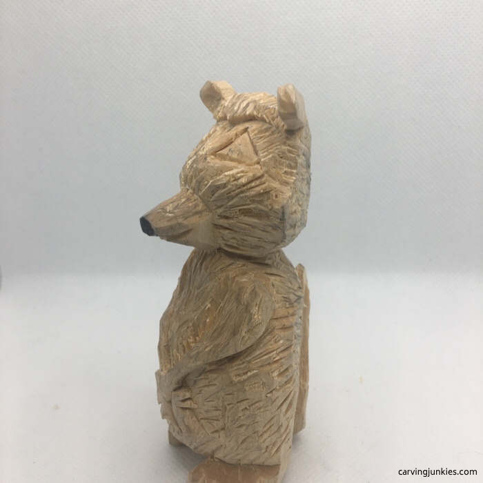 Left view of raccoon with final fur cuts