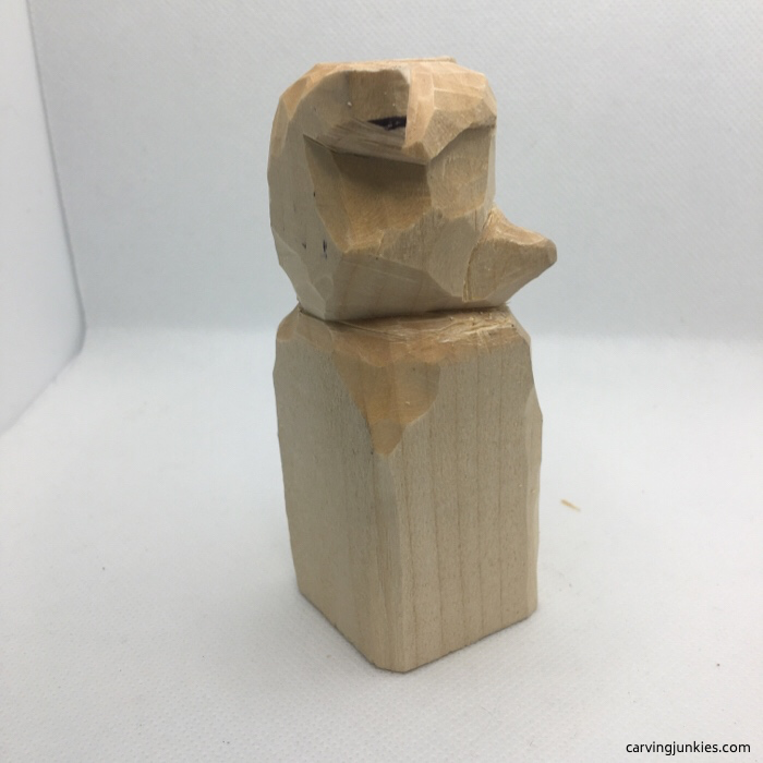 Right view of raccoon