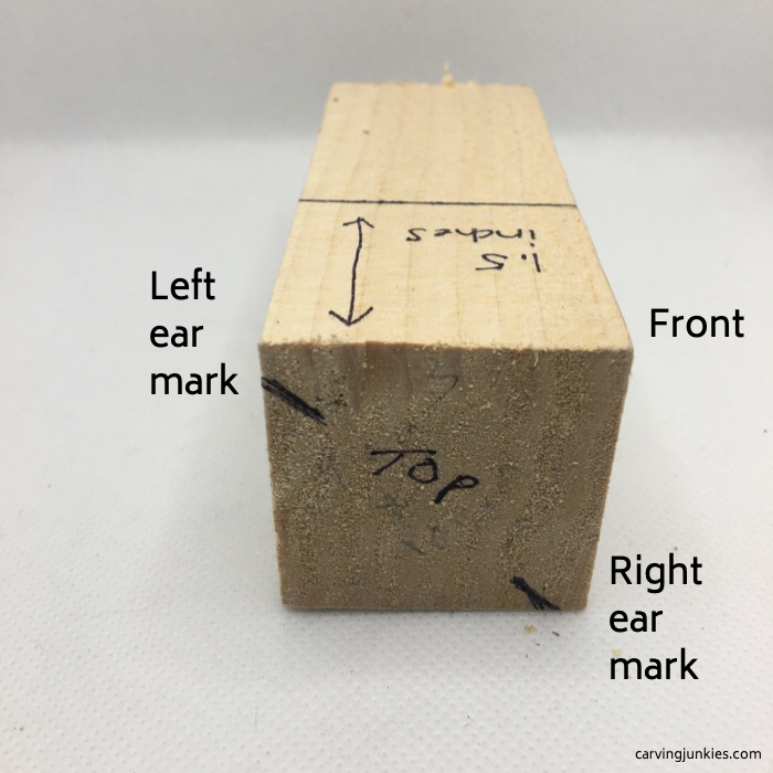 Raccoon carving pattern