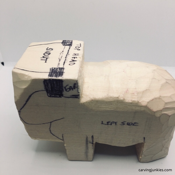 Sheep snot left view