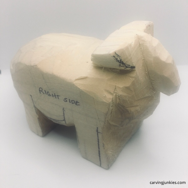 Narrowed wood sheep snout