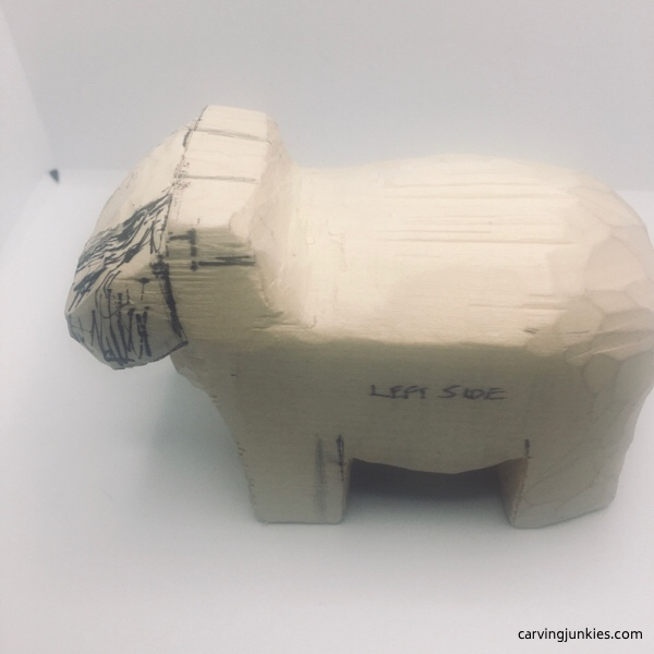 Left view of narrowed sheep snout