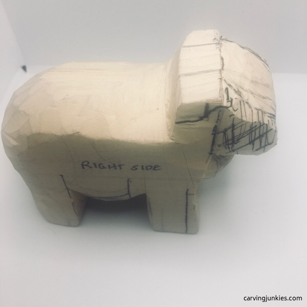 Narrowing wood sheep snout