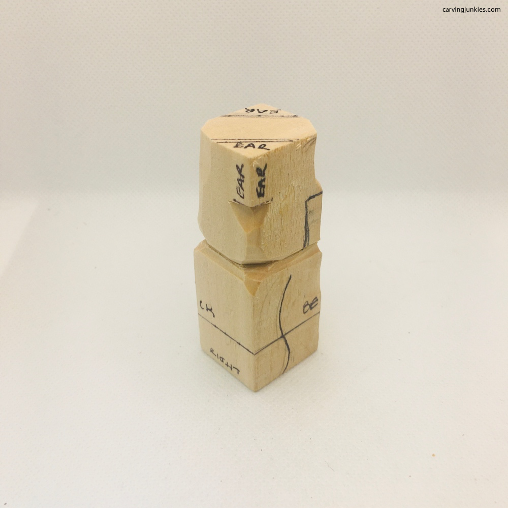 Right side view of bear whittling snout