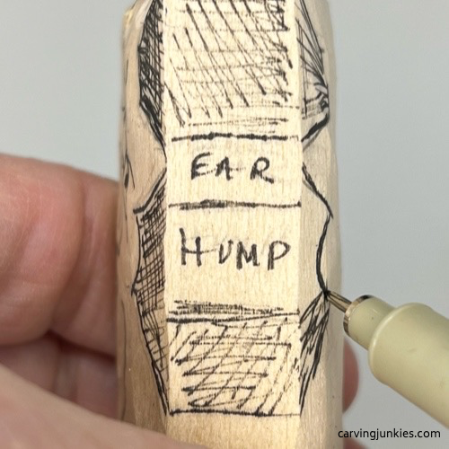 Adding back guidelines on cat whittling Adding more guidelines to the whittled cat