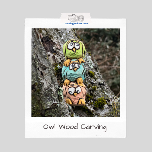 Wood carved owl Polaroid