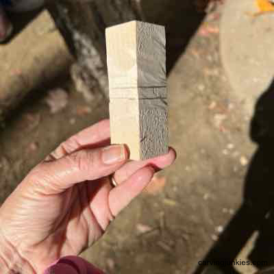 Unleash your creativity with this whimsical turkey carving tutorial! Wood turkey guidelines for carving